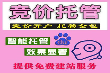 百度移动广告推广策略及效果展示